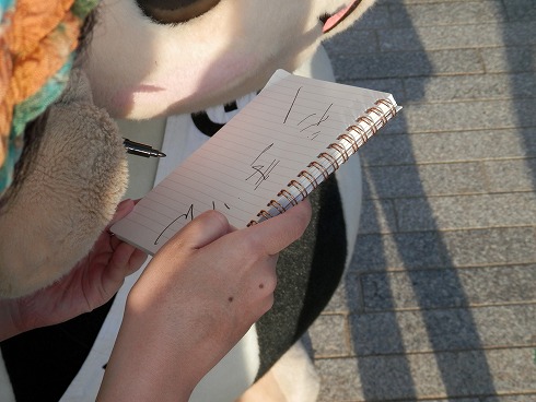20130929 505.jpg