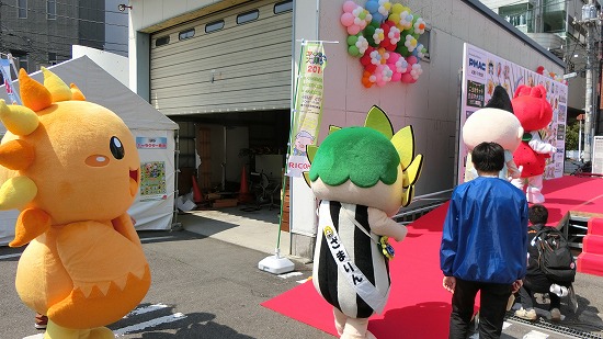 CIMG0029.jpg