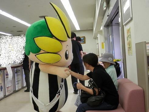 20130711 073.jpg