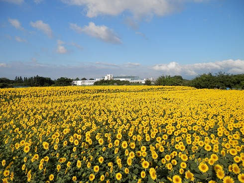 20130719 014.jpg