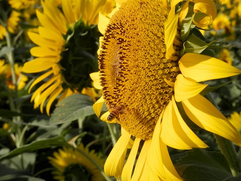 20130719 020.jpg
