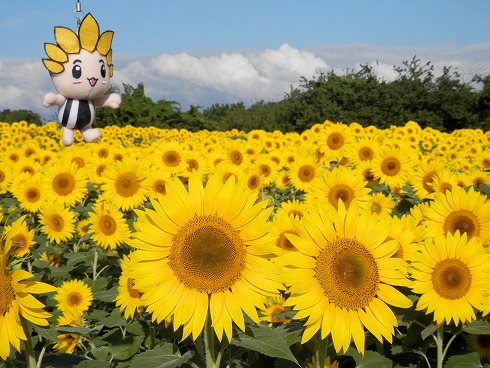 20130719 032.jpg