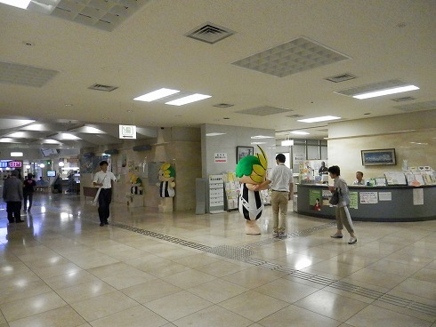 20130729 083.jpg