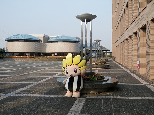 20130809-1 029.jpg