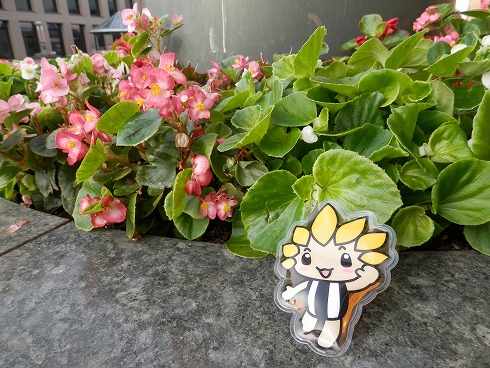 20130809-1 044.jpg