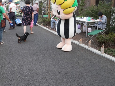 20130810-1 097.jpg