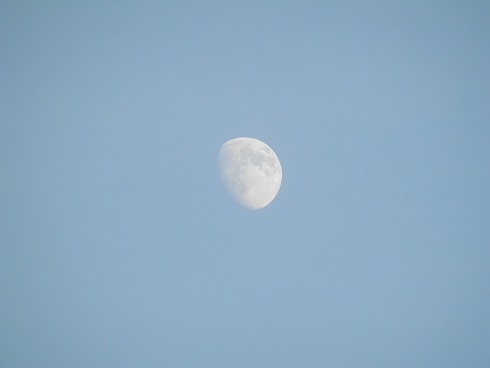 20130817-1 221.jpg