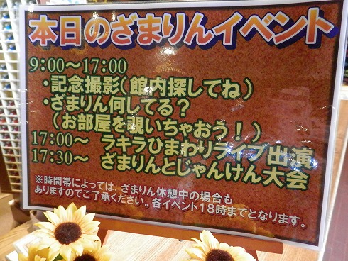 20130817 006.jpg