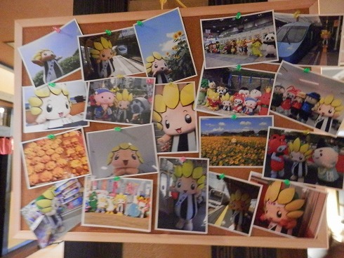 20130817 036.jpg