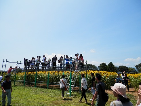 20130818 136.jpg
