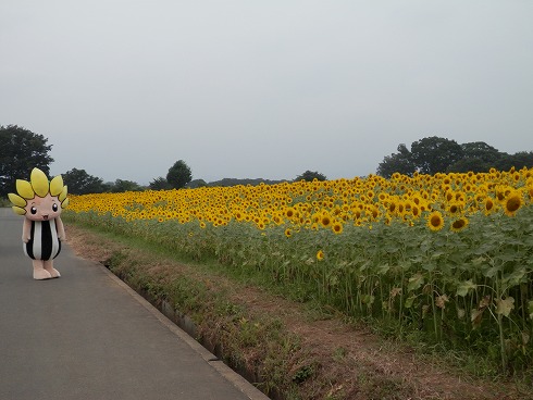 20130823 014.jpg