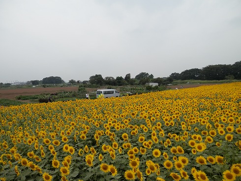 20130823 015.jpg