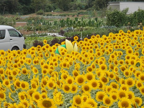 20130823 017.jpg