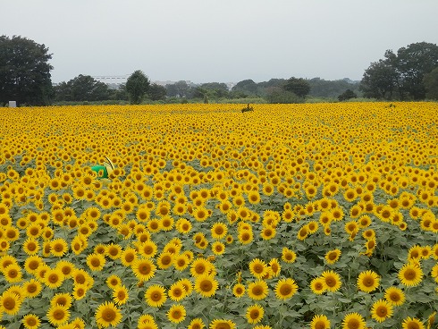 20130823 019.jpg