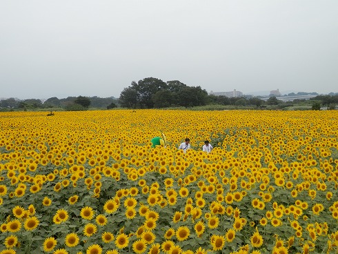 20130823 025.jpg