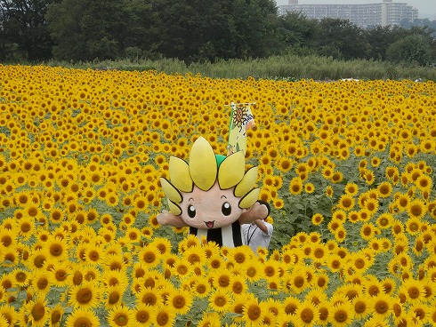20130823 029.jpg