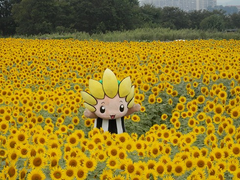 20130823 031.jpg