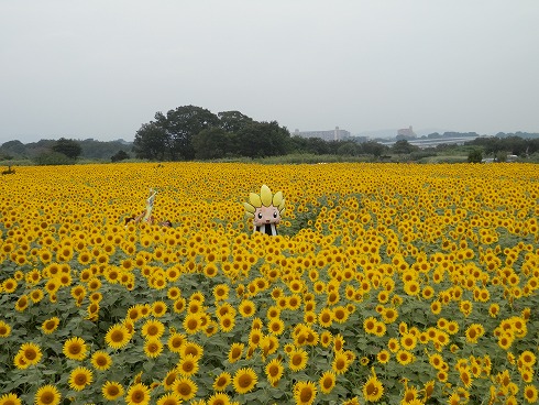 20130823 032.jpg