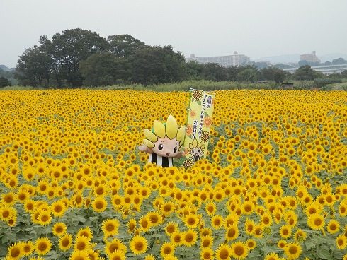 20130823 053.jpg