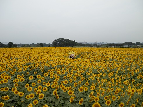 20130823 061.jpg