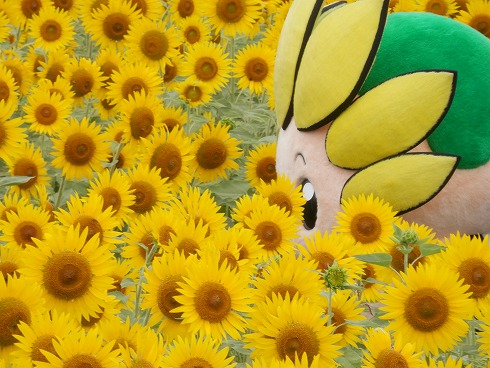 20130823 097.jpg