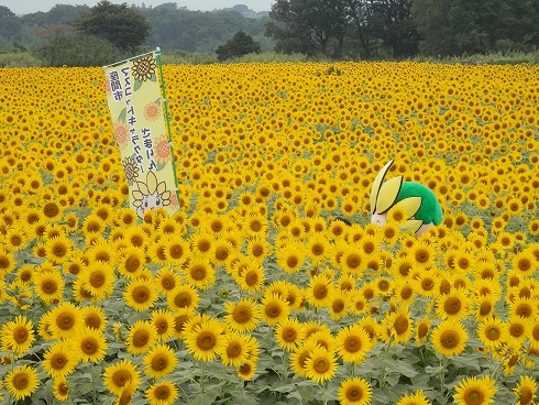 20130823 099.jpg