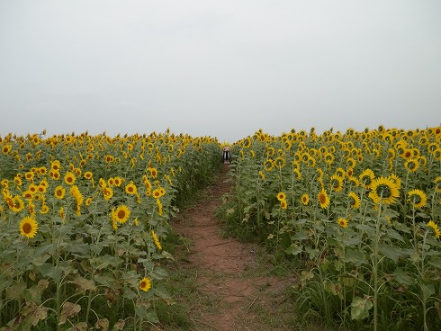 20130823 100.jpg