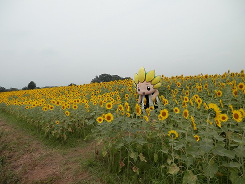 20130823 120.jpg