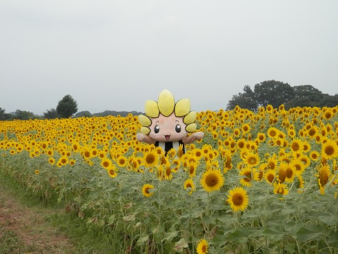 20130823 139.jpg