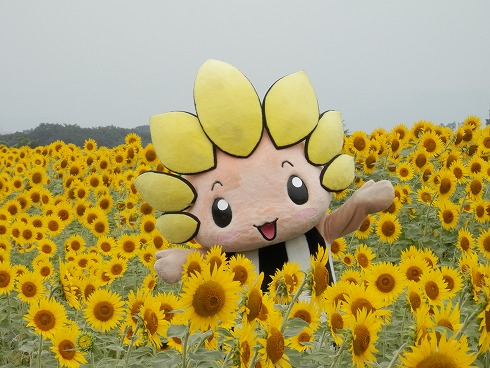 20130823 140.jpg