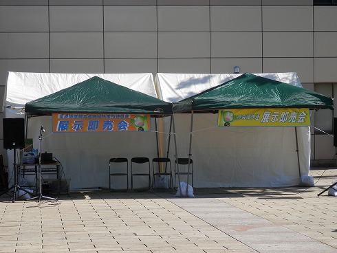 20131027 042.jpg