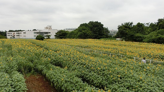 CIMG0051.jpg