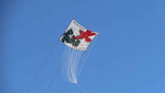 CIMG0344.jpg