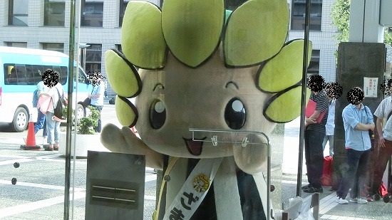 CIMG0388.jpg