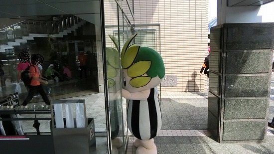 CIMG0394.jpg