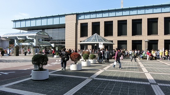 CIMG0465.jpg