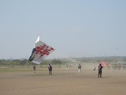 o0490036812526641854.jpg